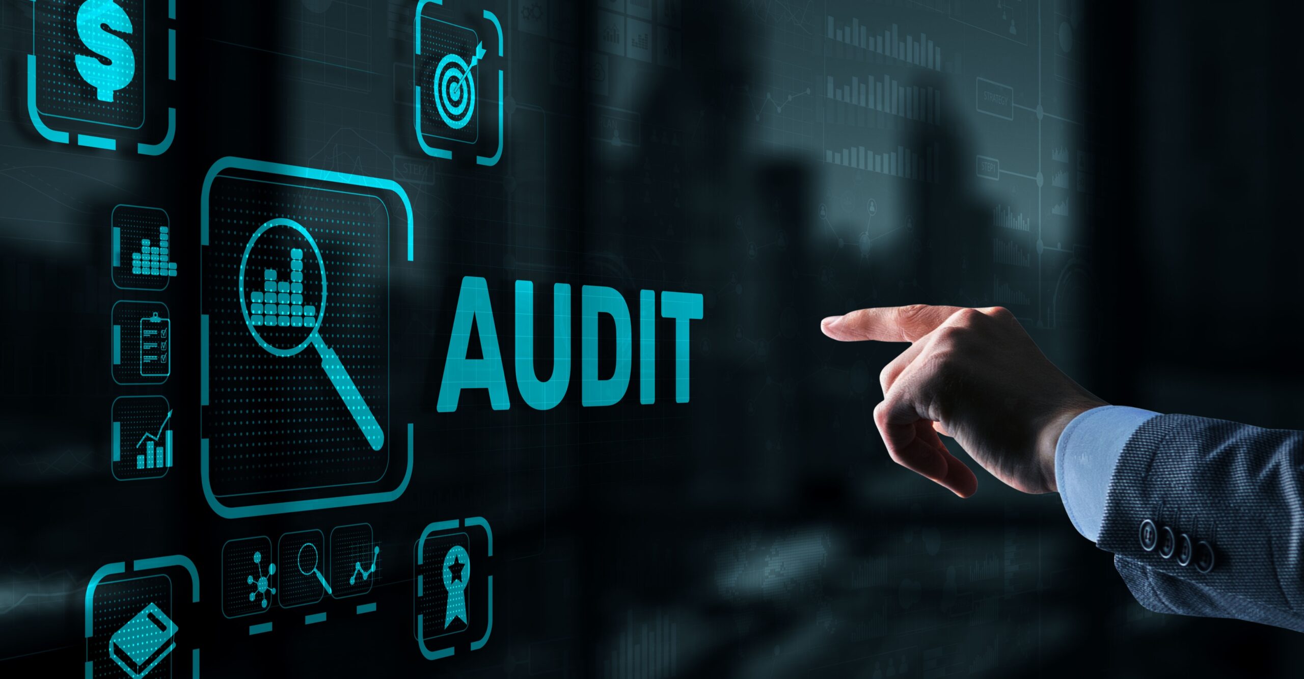 Audit